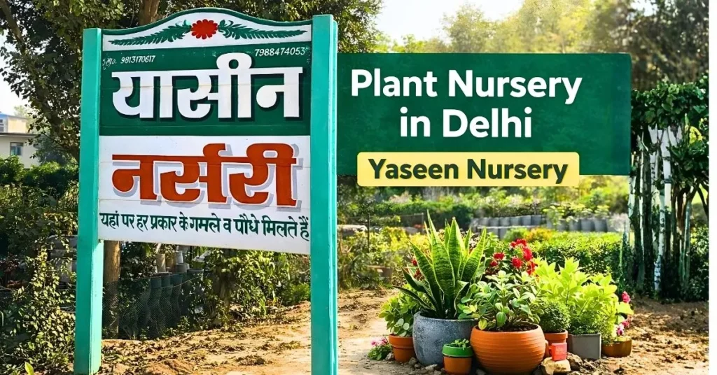 plant nursery in delhi