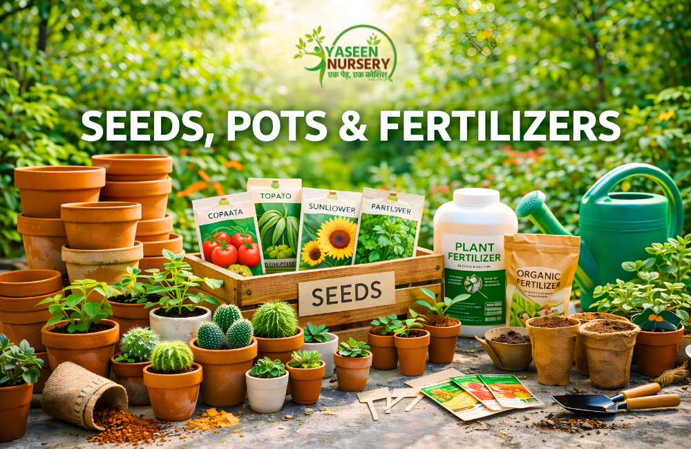 SEEDS, POTS AND FERTILIZERS