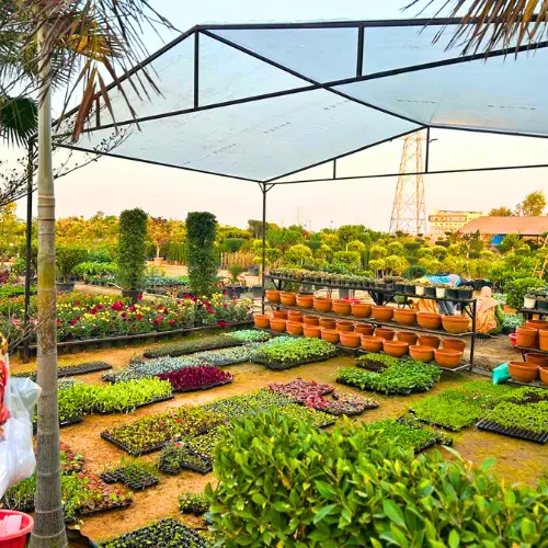 Untitled design (10)