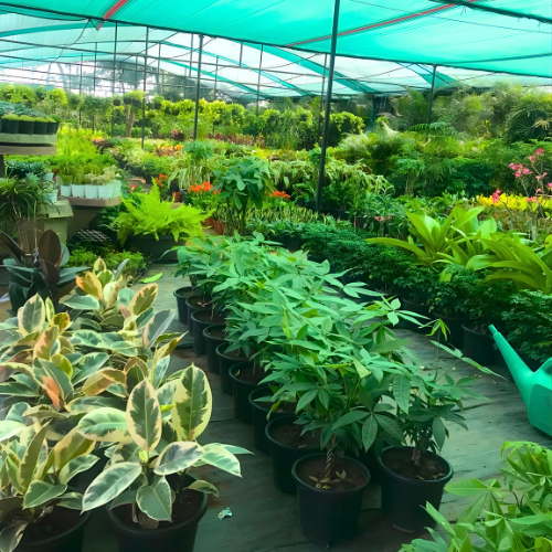 Untitled design (11)