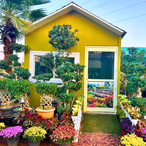 Untitled design (11)