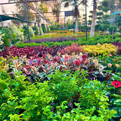 Untitled design (12)