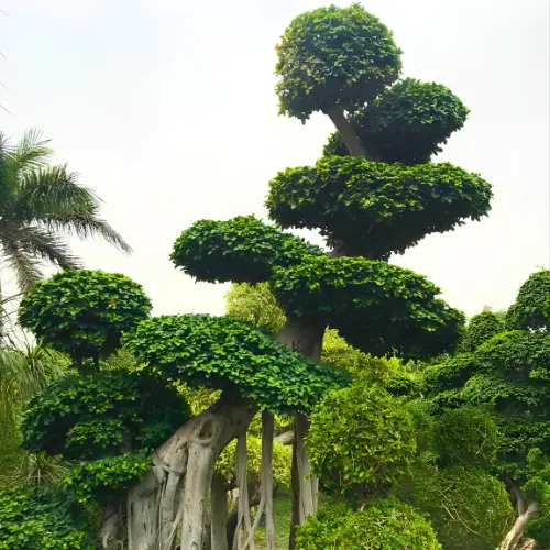 Untitled design (12)