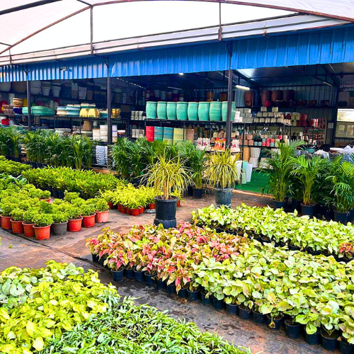 Untitled design (13)