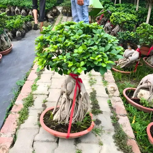 Untitled design (13)