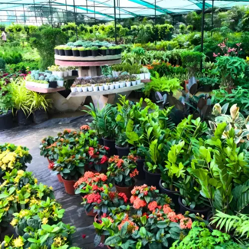 Untitled design (14)