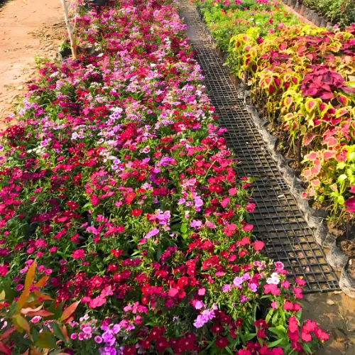 Untitled design (15)