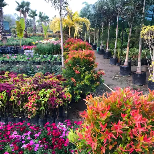 Untitled design (16)