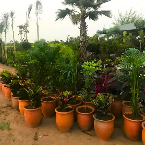 Untitled design (17)