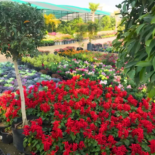 Untitled design (18)