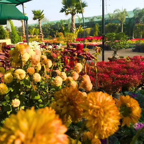 Untitled design (19)