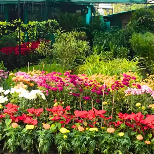 Untitled design (20)