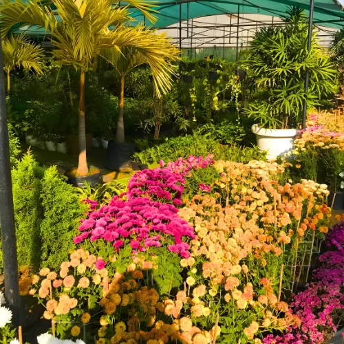 Untitled design (21)