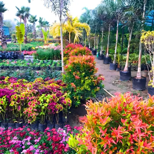 Untitled design (22)