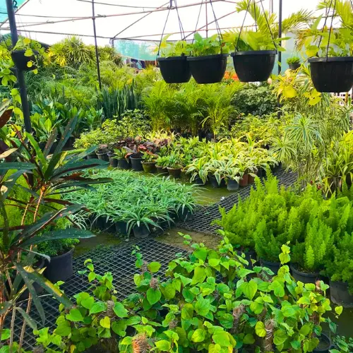 Untitled design (23)