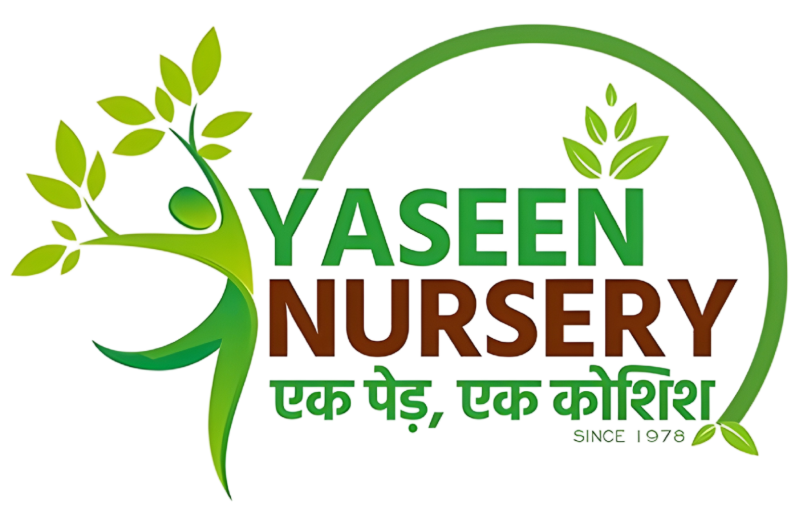 yaseen nursery