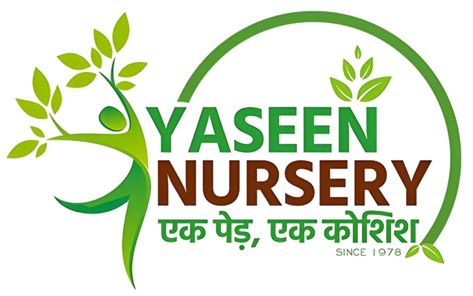 yaseen nursery