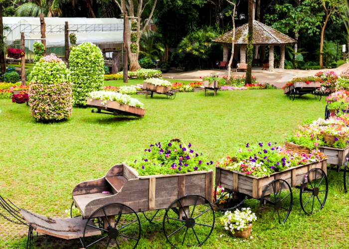 Garden Setup & Design